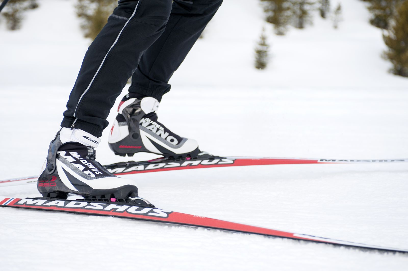 Crosscountry skis for sale in Engelberg Rent Purchase Top brands