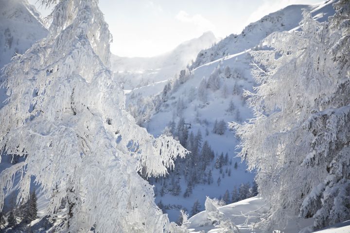 Sport Fashion Engelberg Top Brands